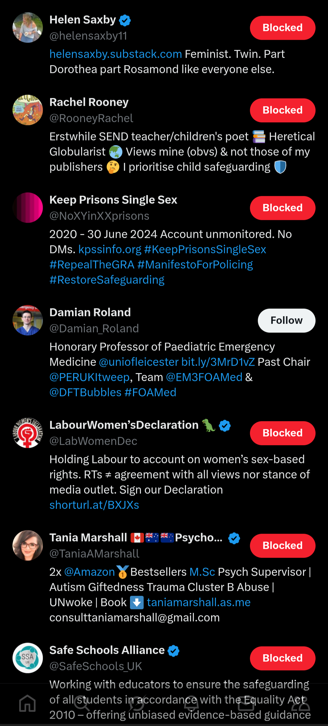 2025-03-20 17:36:35 Screenshot showing she follows more gender critical accounts and an organization called Keep Prisons Single Sex, and LabourWomensDeclaration, and the Safe Schools Alliance (an obscure anti-trans organizaton)